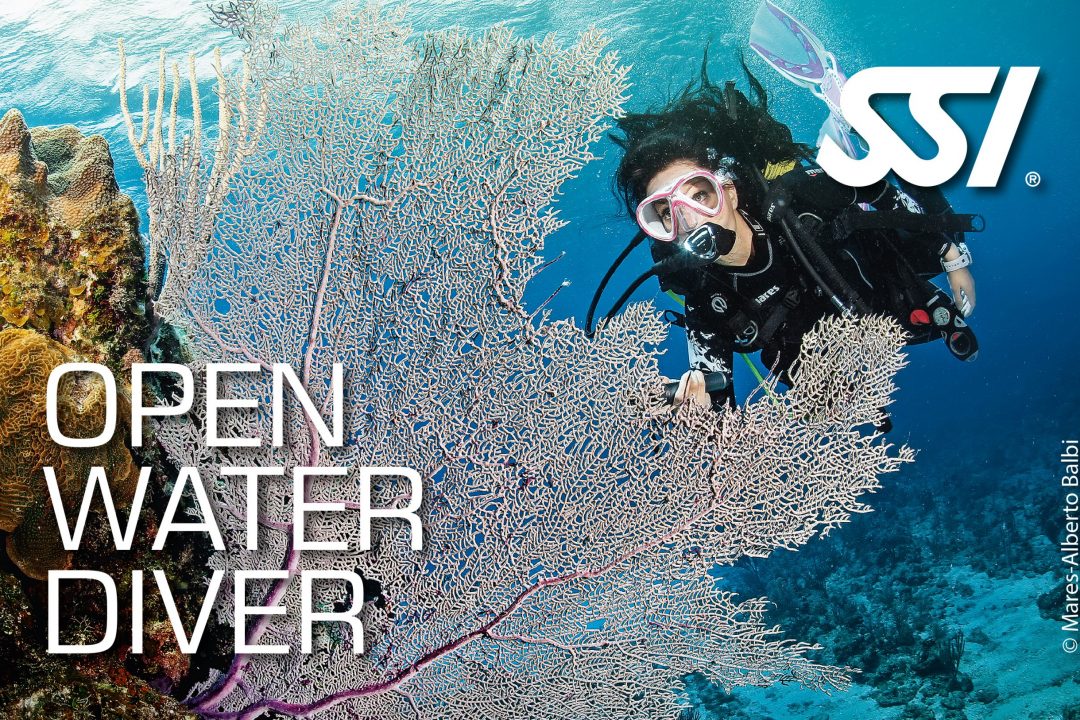 Open Water Diver